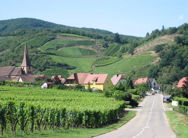 Village entour&eacute; de vignes et collines verdoyantes avec une &eacute;glise.