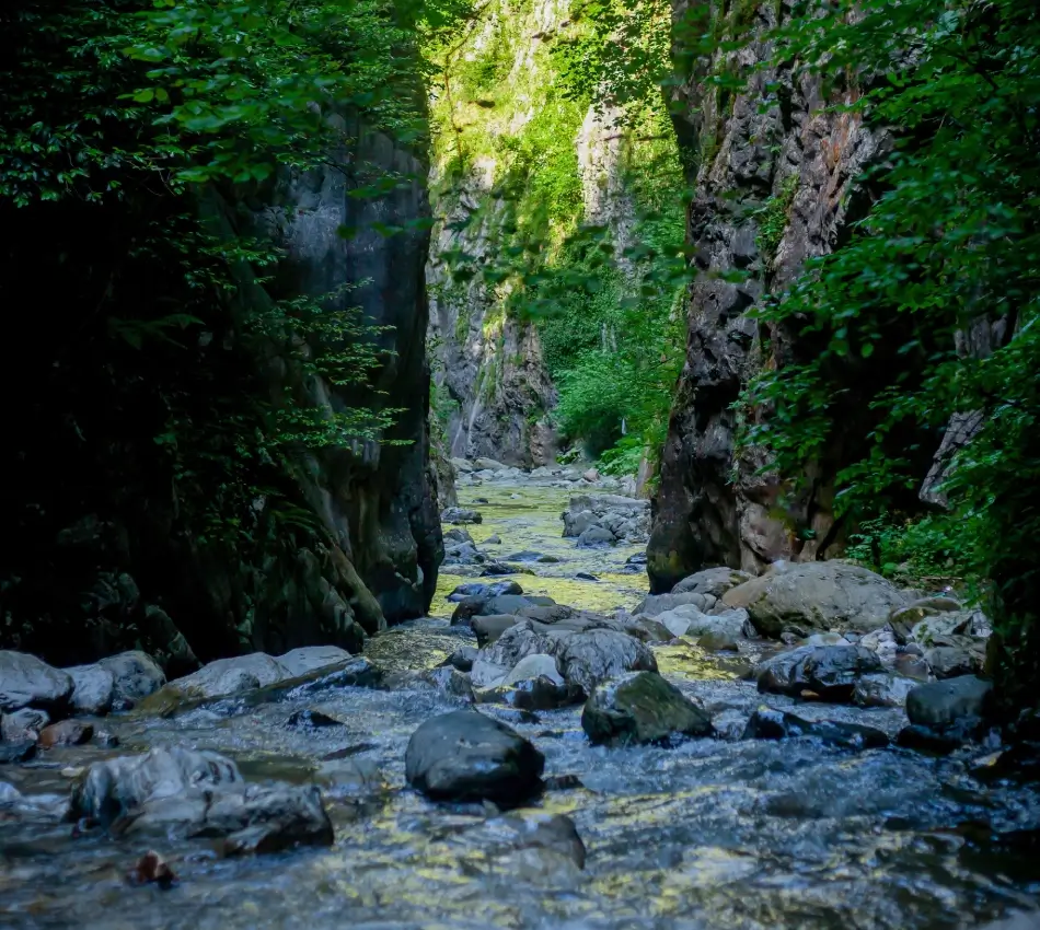 Ca&ntilde;&oacute;n rocoso con arroyo entre paredes cubiertas de vegetaci&oacute;n verde.
