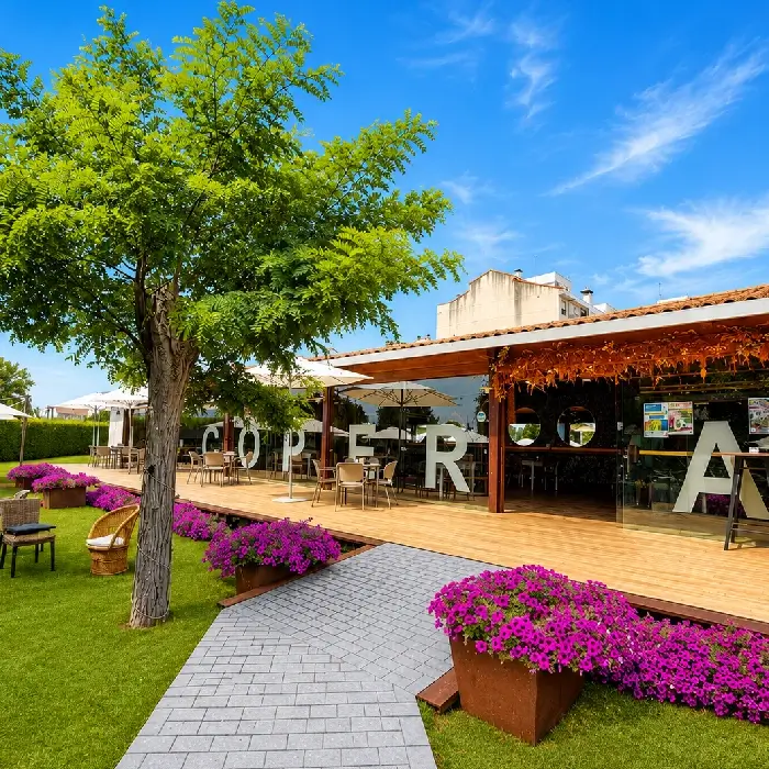 Terraza exterior con c&eacute;sped, flores moradas y bar de madera bajo cielo azul