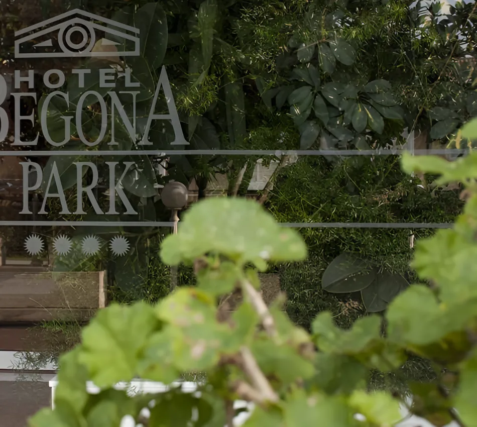 Ventana del Hotel Bego&ntilde;a Park con reflejo de plantas y fondo de vegetaci&oacute;n densa.