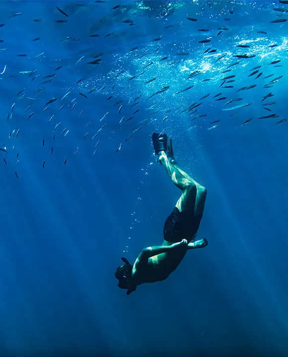 Persona buceando rodeada de peces en aguas azules.