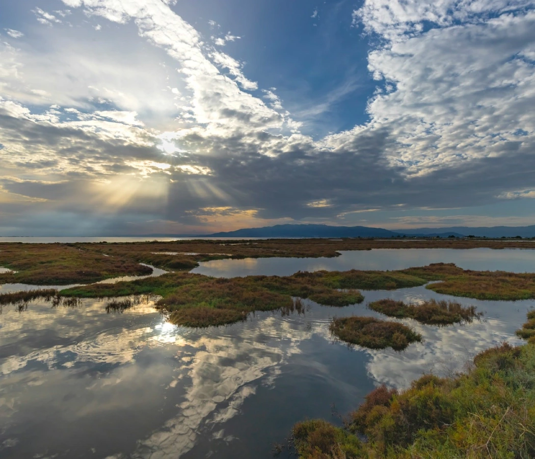 Humedales bajo un cielo nublado con rayos de sol al atardecer.