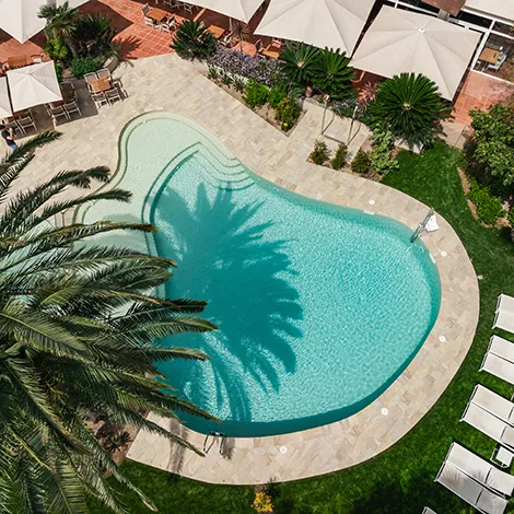 Vista a&eacute;rea de una piscina con sombra de palmera y tumbonas alrededor.