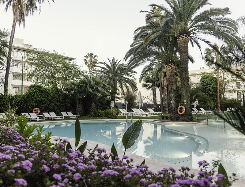 Piscina al aire libre rodeada de palmeras y flores p&uacute;rpuras.