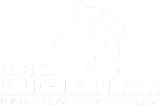 Logo de Hotel Puebla Plaza con estrellas y un dise&ntilde;o de ave estilizada.