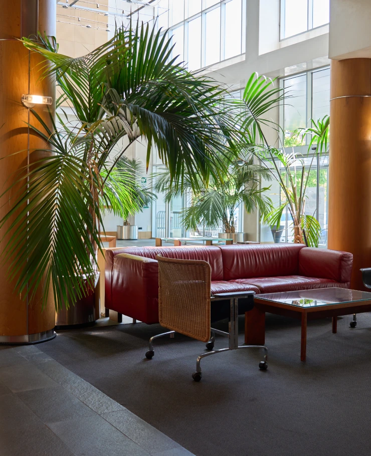 Sala moderna con sof&aacute; rojo, plantas grandes y luz natural.