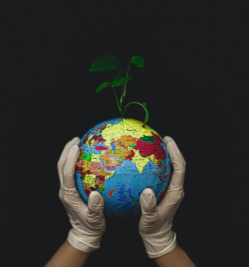 Manos con guantes sostienen un globo terr&aacute;queo con una planta encima.