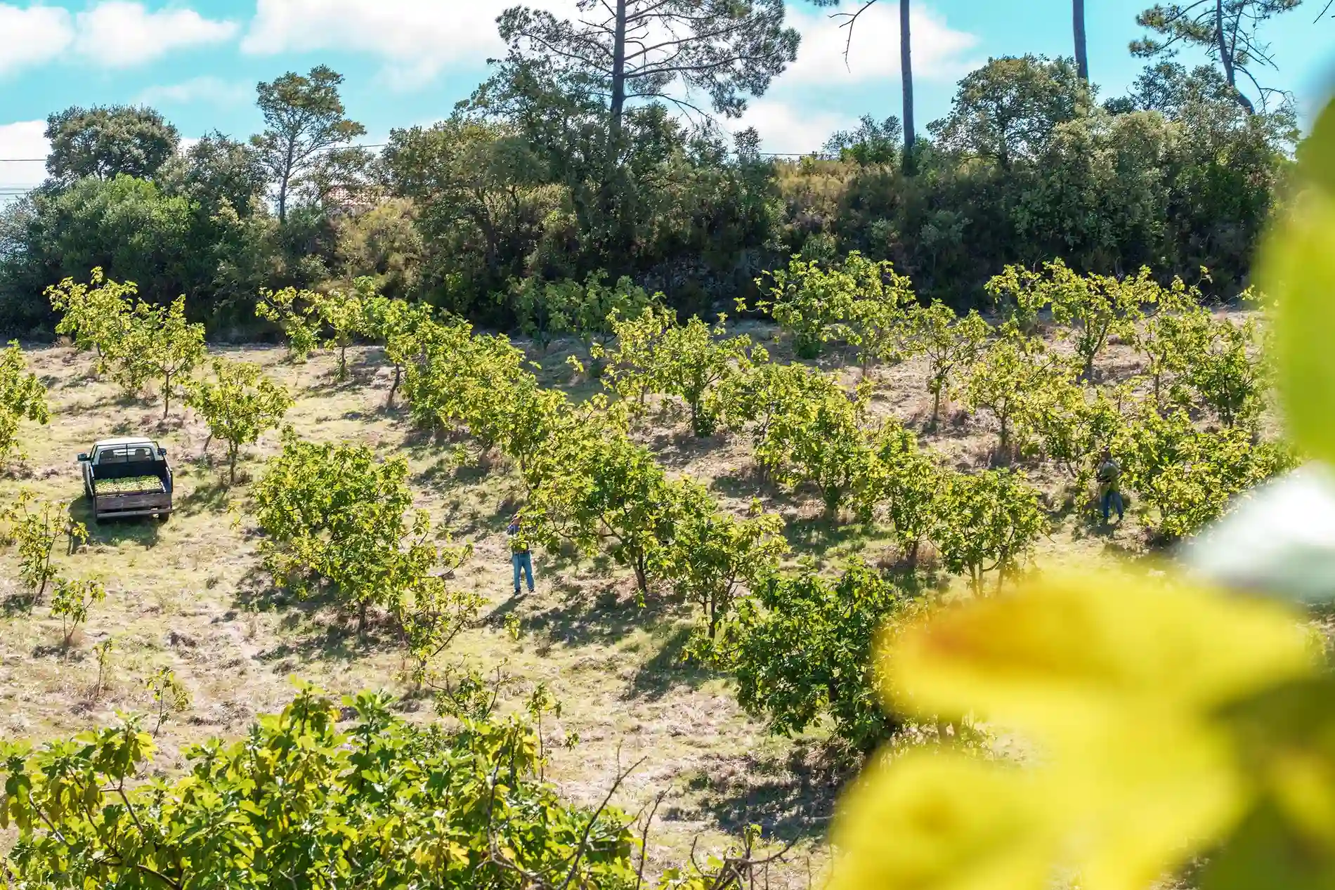 Compromisso - Dom Gon&ccedil;alo Hotel &amp; SPA