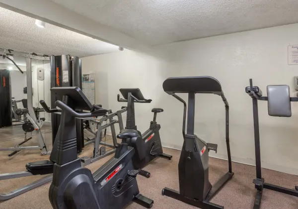 Gimnasio peque&ntilde;o con bicicletas est&aacute;ticas y m&aacute;quinas de ejercicio en una sala cerrada.