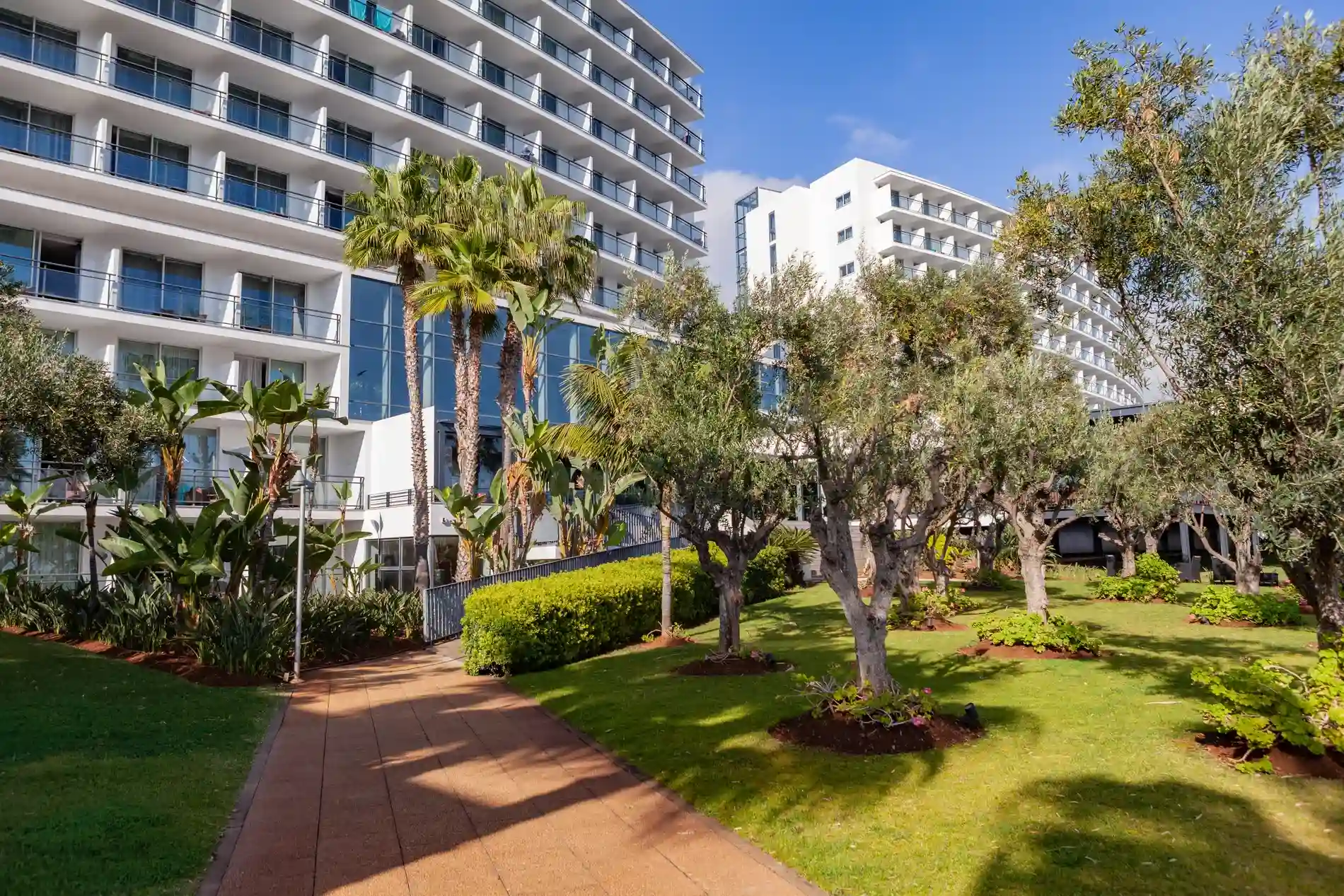 Modern building with palm trees and a lush garden pathway.