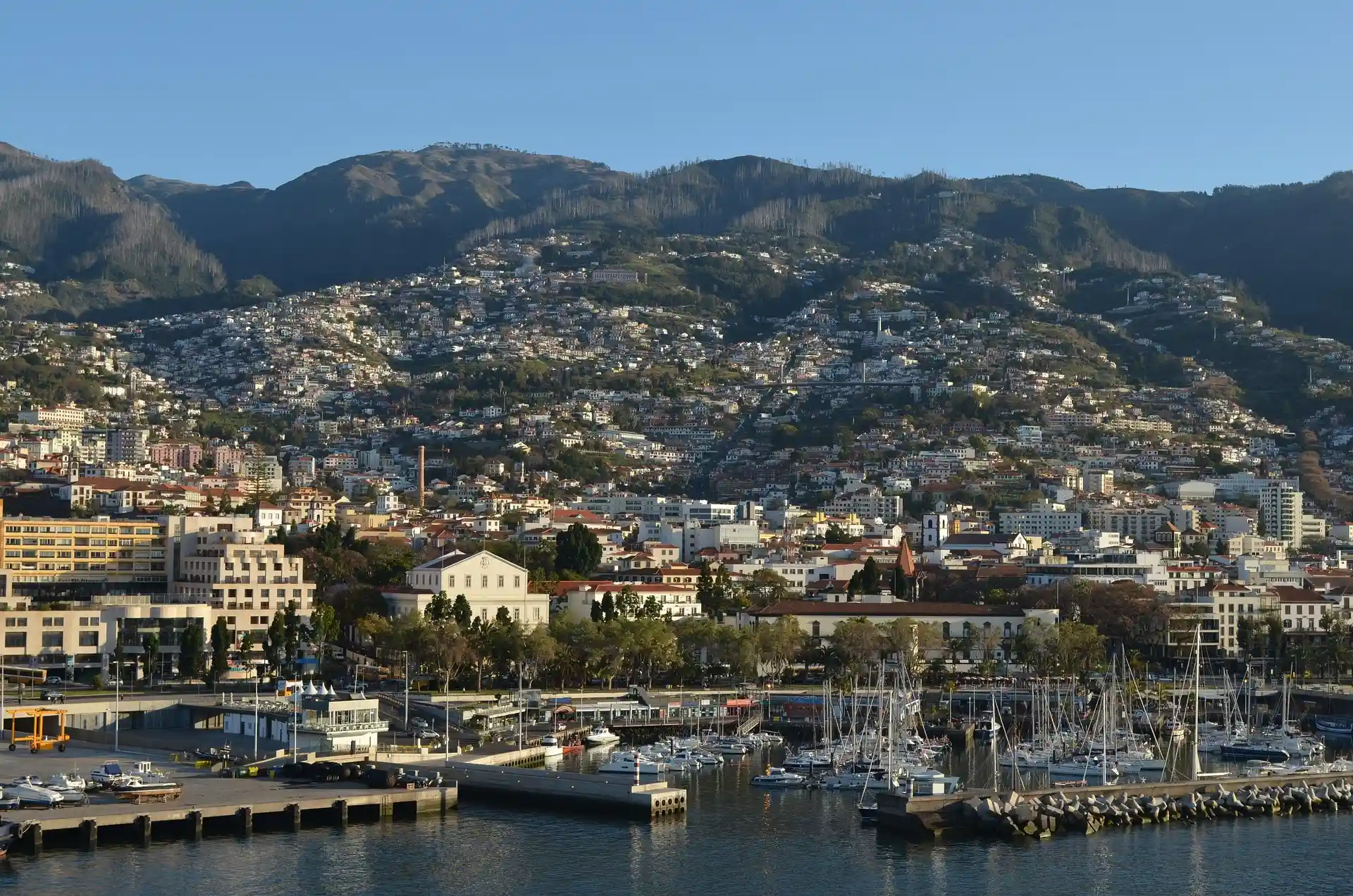 Coastal cityscape with harbor and mountainous backdrop.