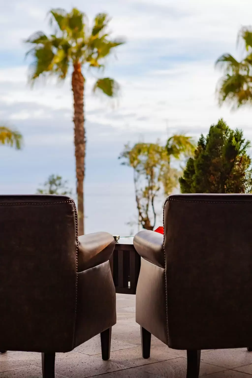 Two chairs facing a scenic view with palm trees and ocean.