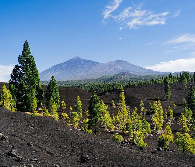 Volcanic landscape with trees and mountains under a clear blue sky.