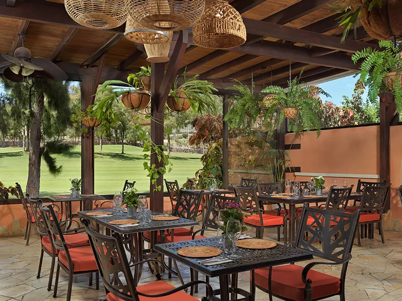 Outdoor restaurant with red chairs, plants, and wicker lamps under a wooden roof.