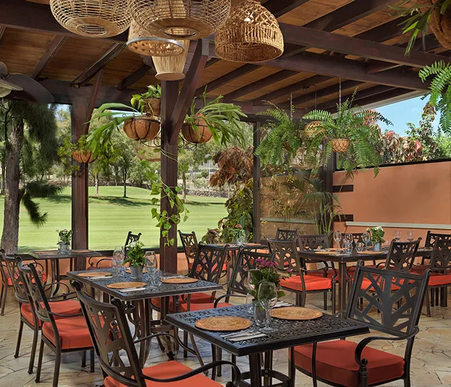 Outdoor patio dining area with hanging plants and wicker lights.