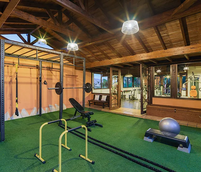 Gym with equipment, green turf floor, and wooden ceiling.