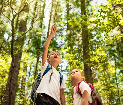 Two kids in a forest, looking up and pointing at the trees.