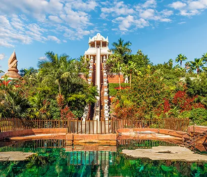 Tall water slide amidst lush greenery and a clear pool on a sunny day.