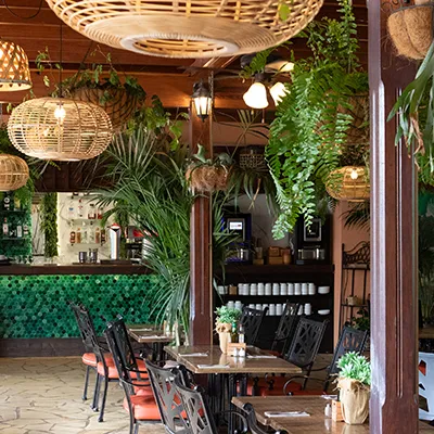 Rustic cafe with plants, wicker lights, and wooden furniture.