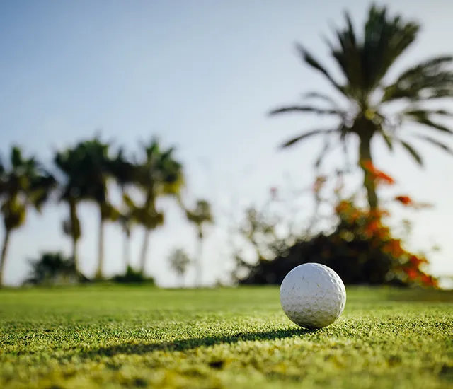 Golf ball on grass with palm trees in the background.
