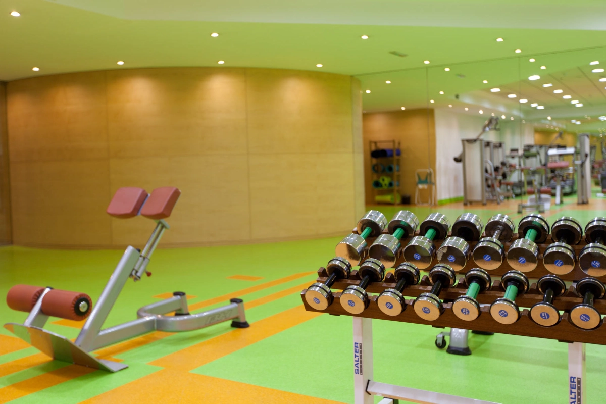 Gimnasio con pesas en estanter&iacute;as y equipo de ejercicio en fondo.