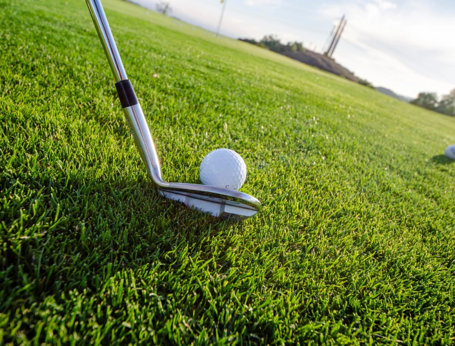 Palo de golf y pelota sobre c&eacute;sped en el campo.