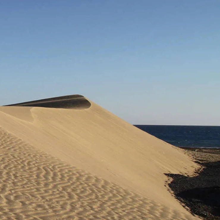 Duna de arena junto al mar bajo un cielo despejado.