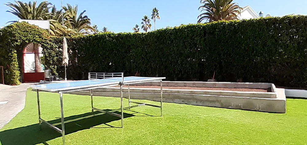 Mesa de ping-pong en un jard&iacute;n con c&eacute;sped y palmeras al fondo.