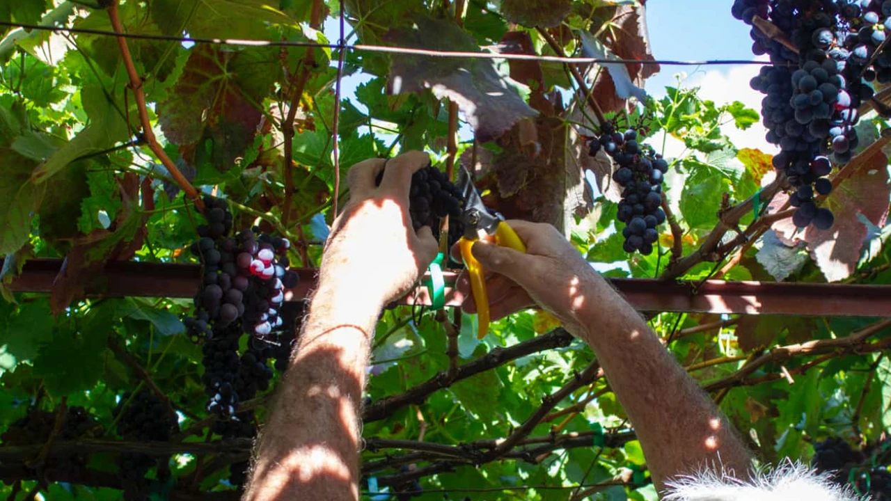 Activities - Quinta da Saraiva