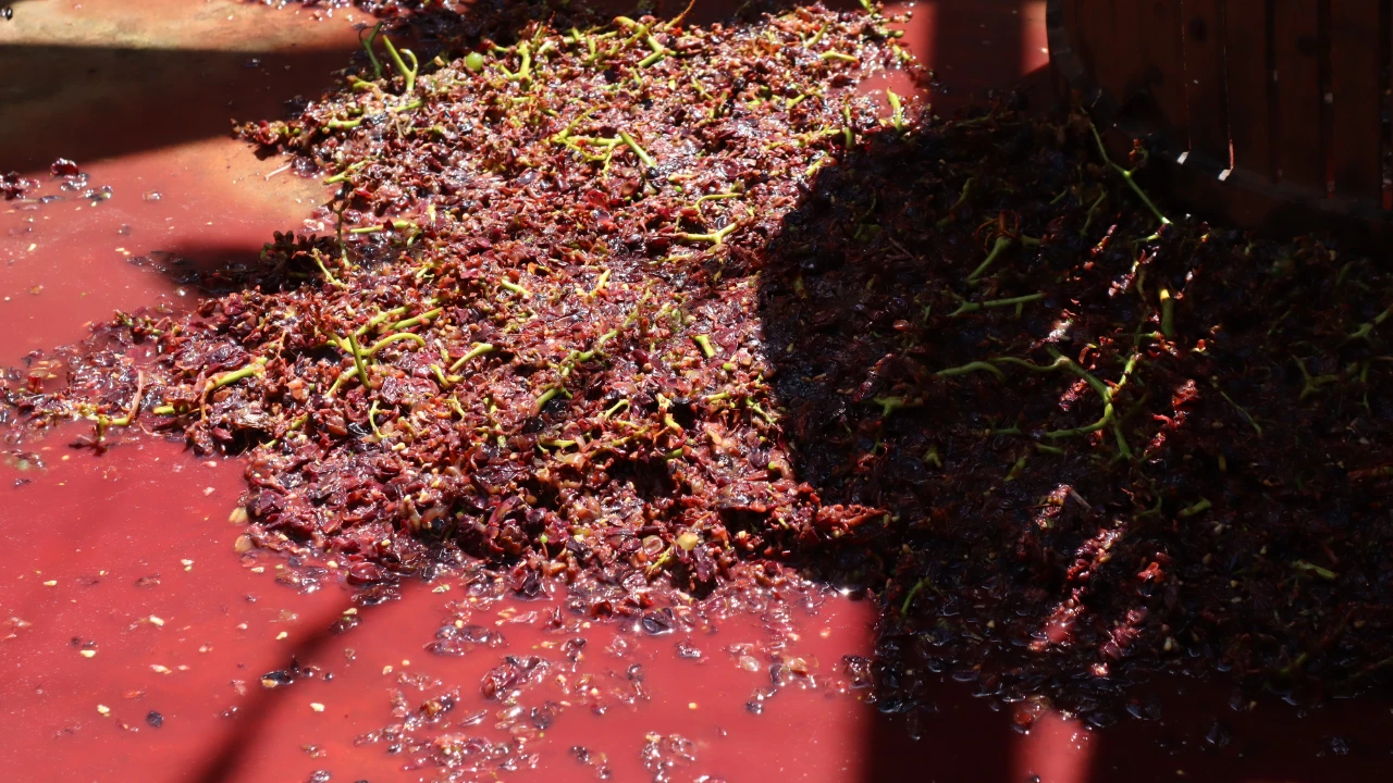 Activities - Quinta da Saraiva