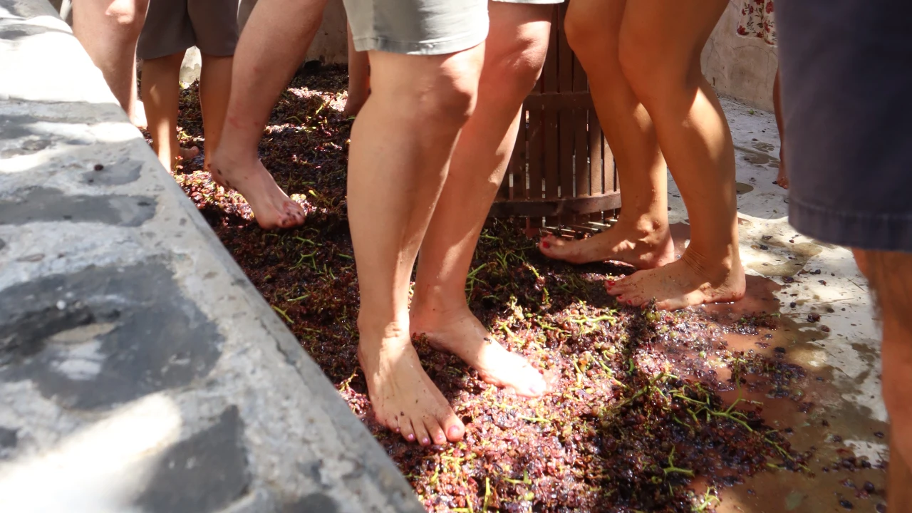 Activities - Quinta da Saraiva