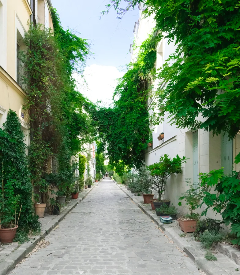 Ruelle pav&eacute;e bord&eacute;e de plantes vertes et de b&acirc;timents aux murs recouverts de vignes.