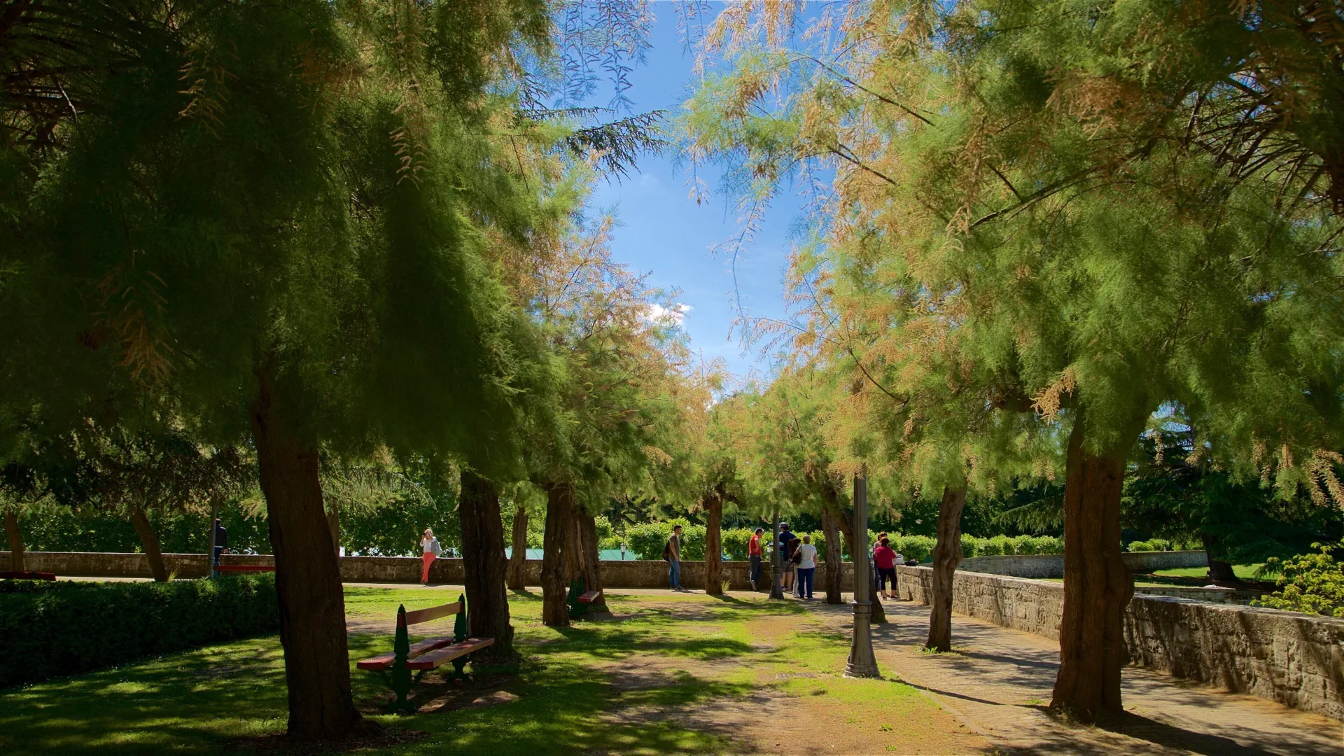 Parque con &aacute;rboles verdes, banco rojo y personas caminando bajo cielo azul.