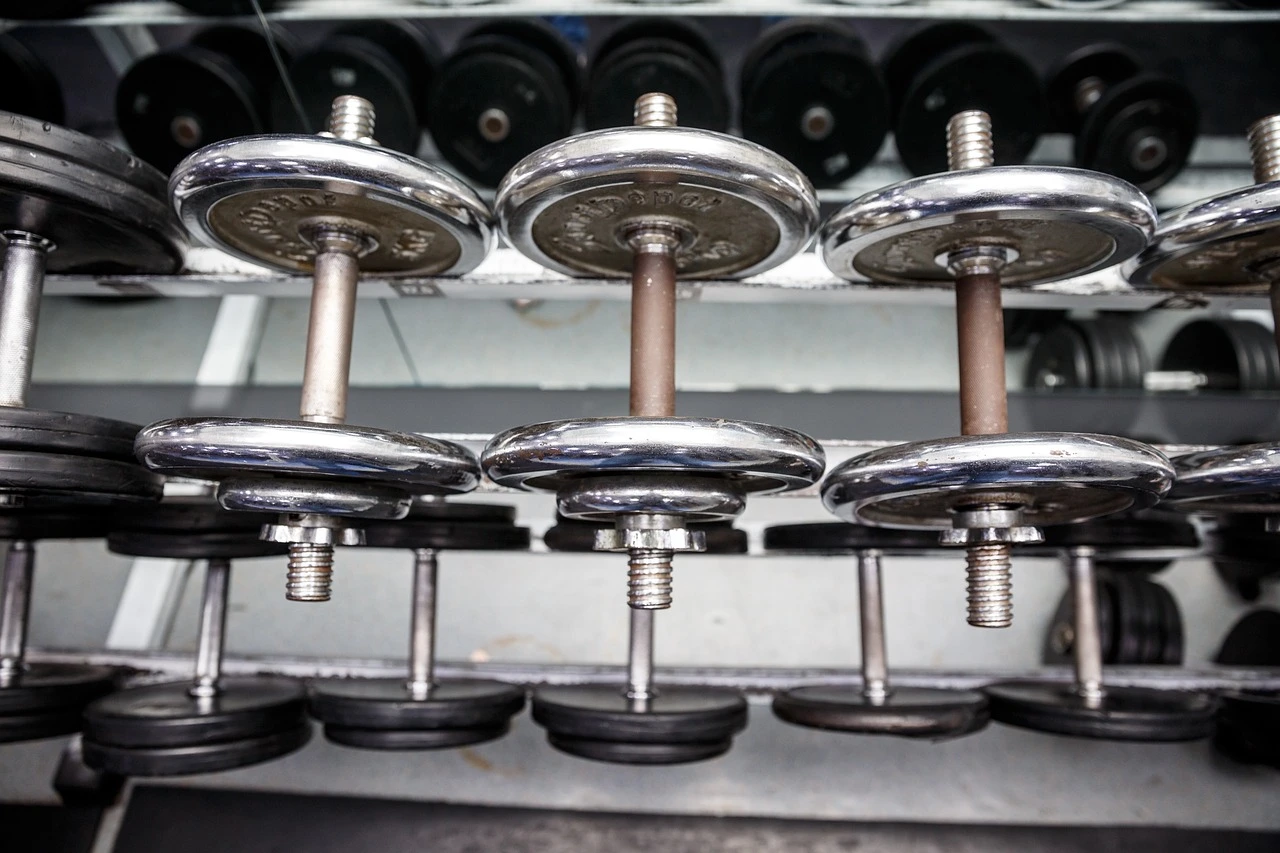 Halteres prateados organizados em uma prateleira de academia.