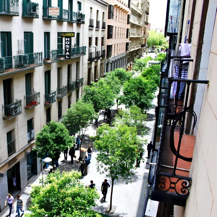 Calle peatonal con &aacute;rboles y edificios; personas paseando bajo sol.