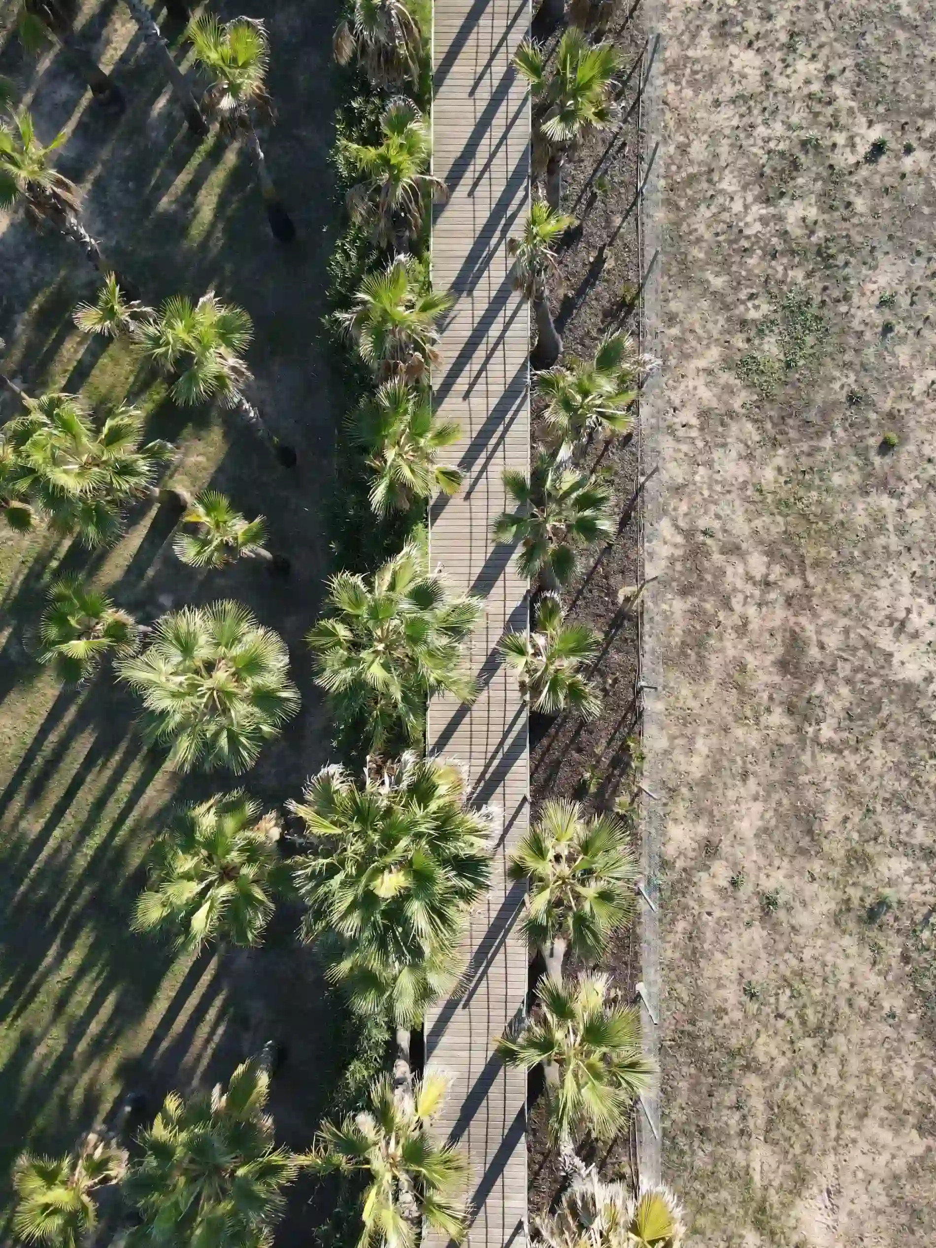 Wine & Books By The Sea Algarve Resort - Wine &amp; Books Hotels