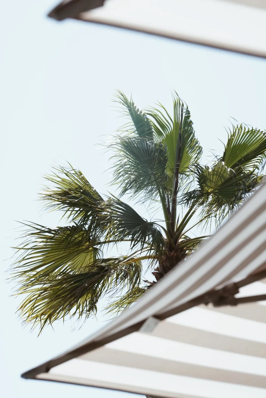 Wine & Books By The Sea Algarve Resort - Wine &amp; Books Hotels