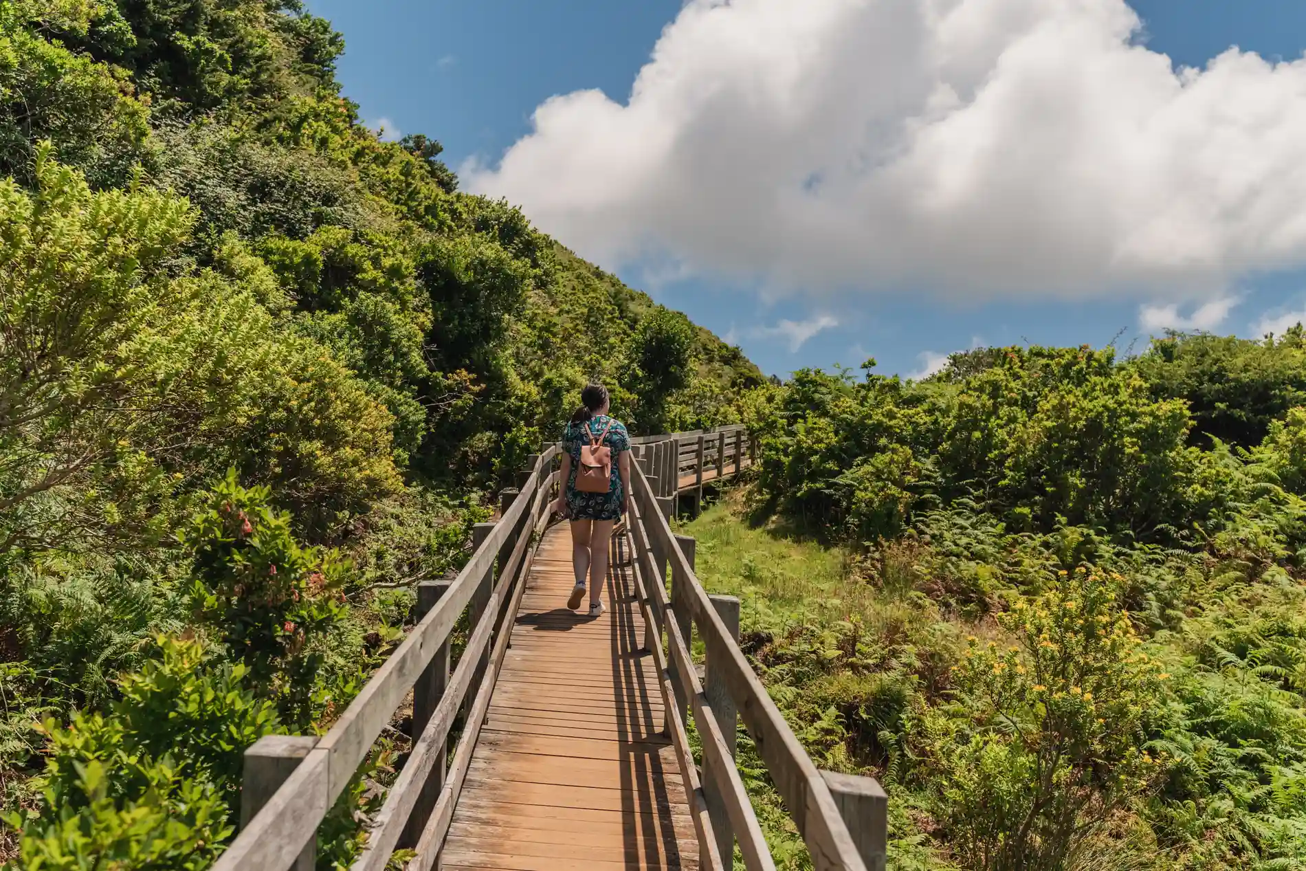 Pessoa caminhando em passarela de madeira cercada por vegeta&ccedil;&atilde;o verde.
