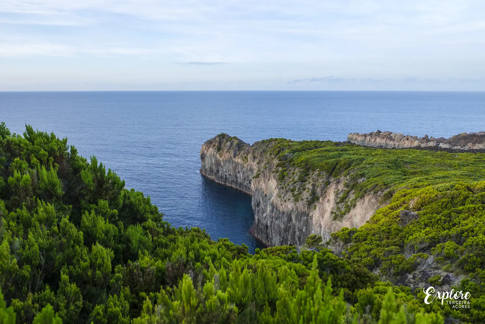 Costa rochosa com vegeta&ccedil;&atilde;o densa frente ao oceano azul.