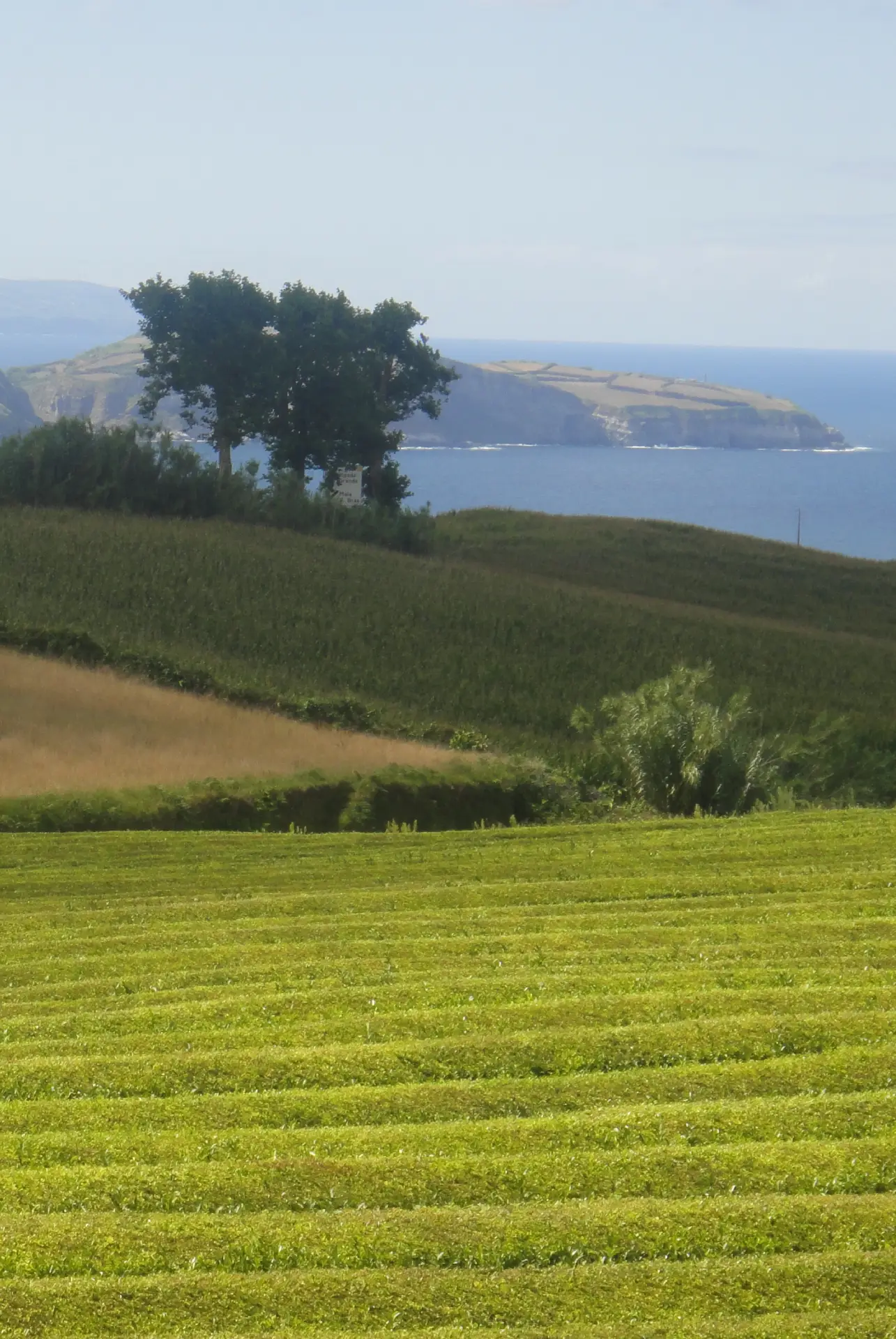 Localiza&ccedil;&atilde;o e Contactos - Webs Mirai Futura