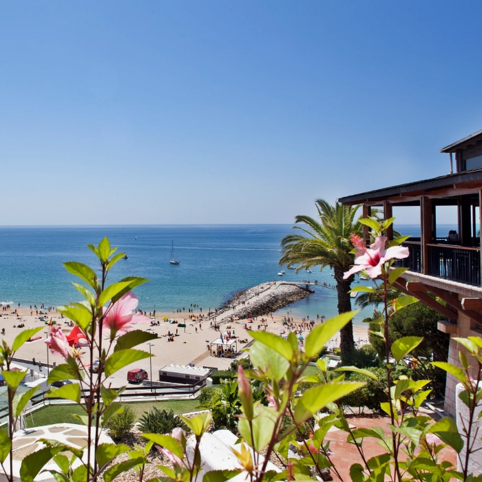 Vista de praia ensolarada com flores e palmeiras em primeiro plano.