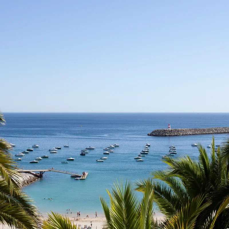 Praia com palmeiras e barcos no mar calmo em dia ensolarado.