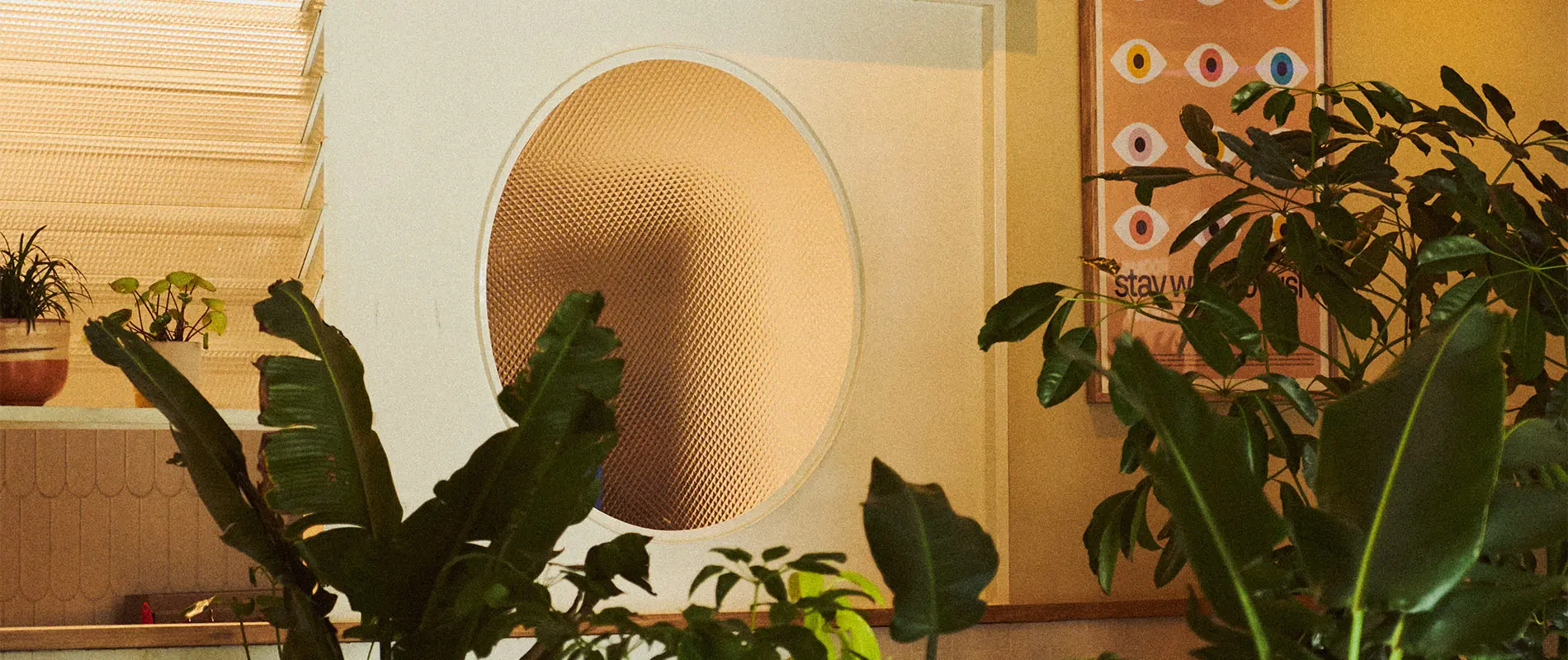 Interior con plantas y una puerta con cristal circular texturizado.