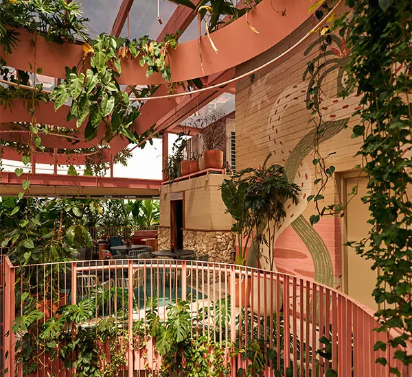 Terraza interior con plantas colgantes y paredes rosadas.