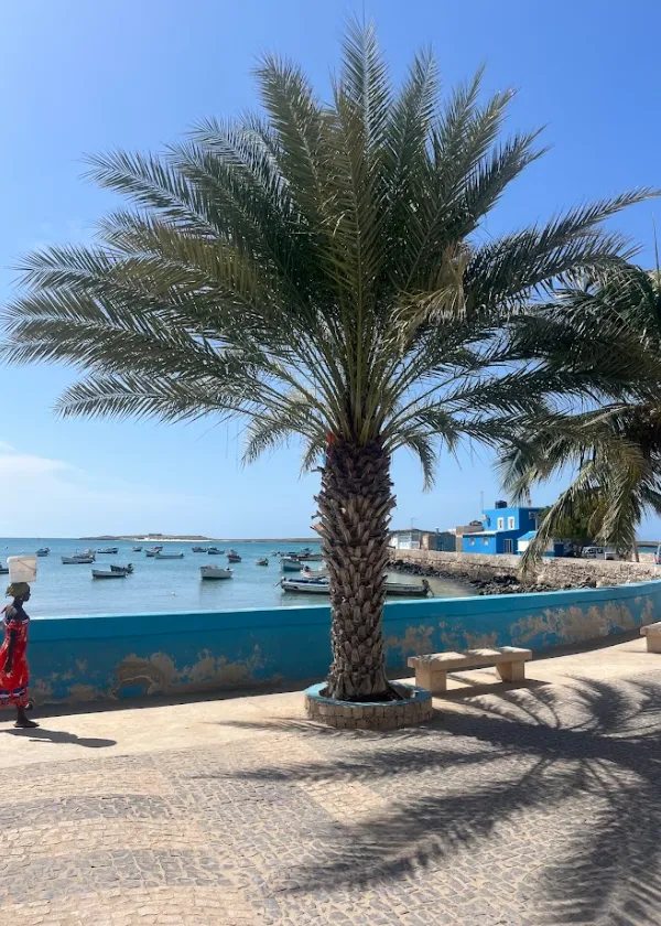 Cal&ccedil;ad&atilde;o com coqueiros &agrave; beira-mar, barcos ao fundo e uma pessoa passando.