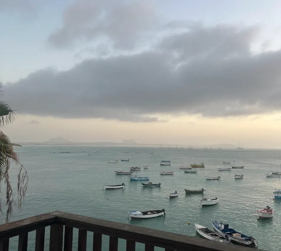 Barcos ancorados em mar calmo, com c&eacute;u nublado ao fundo e uma palmeira &agrave; esquerda.