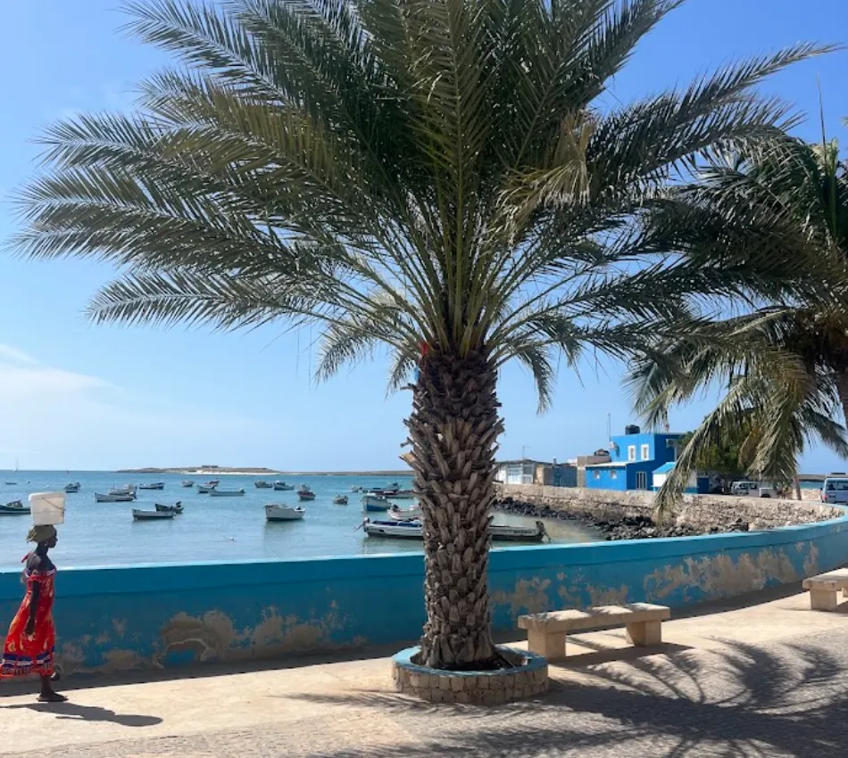 Mulher caminha em frente ao mar com barcos, edif&iacute;cios azuis e palmeira ao fundo.