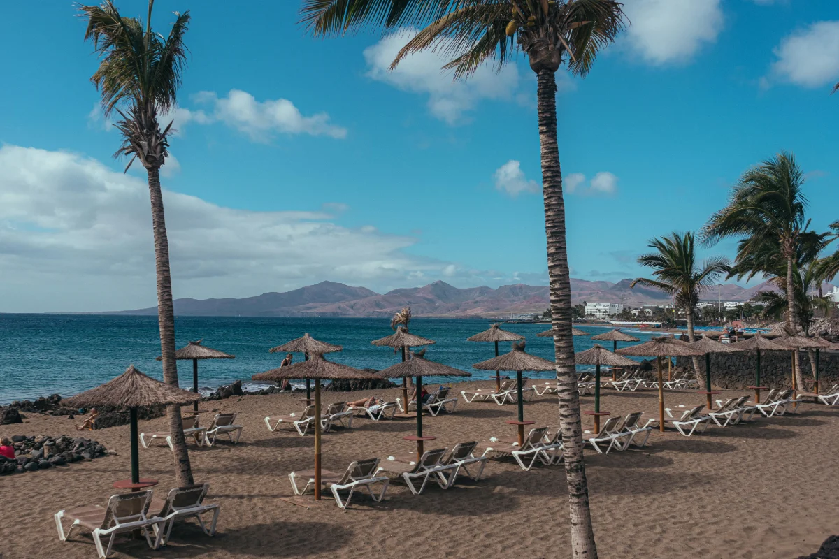 Playa con palmeras, tumbonas y sombrillas de paja bajo un cielo azul.
