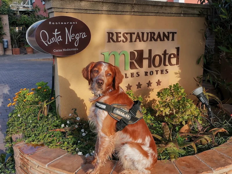 MR Hoteles en Denia