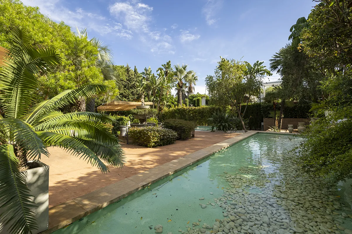 Jardín con piscina rodeado de árboles y plantas bajo un cielo azul.
